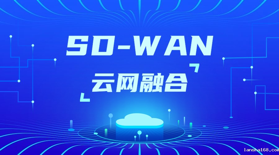SD-WAN组网支持的方式 SD-WAN组网支持的方式