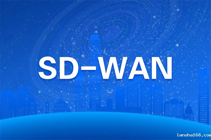 sdwan组网方案