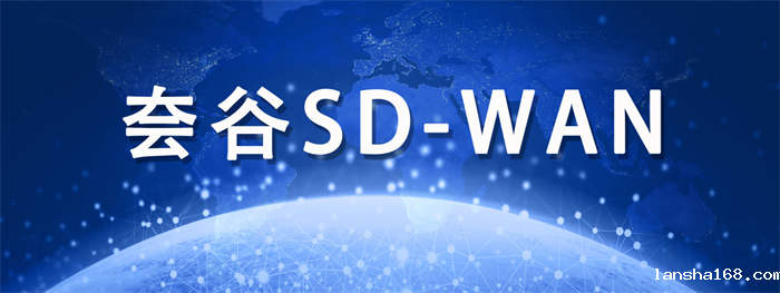 SDWAN跨境专线的优势