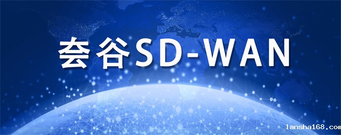 国内sdwan品牌