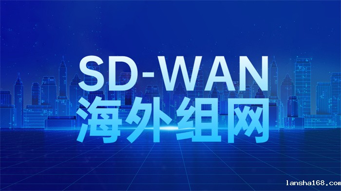 企业全球组网解决方案 企业全球组网解决方案