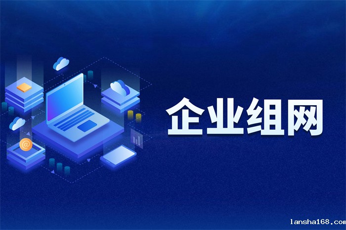 企业组网怎么搭建