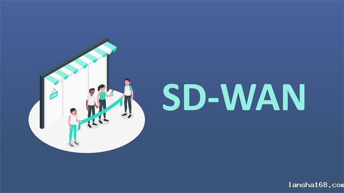 SD-WAN组网方案