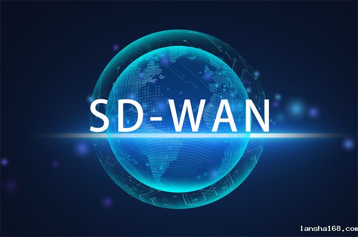 SD-WAN与VPN的区别