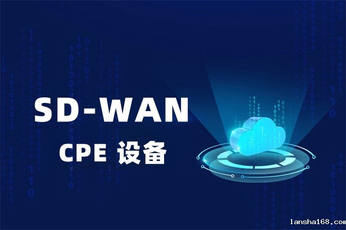SD-WAN CPE设备