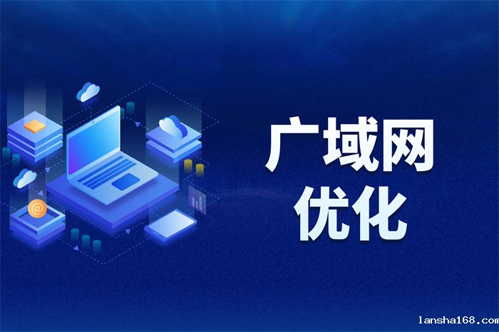 广域网的组网方式是什么