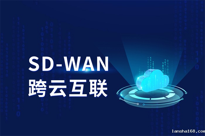 SD-WAN如何接入？