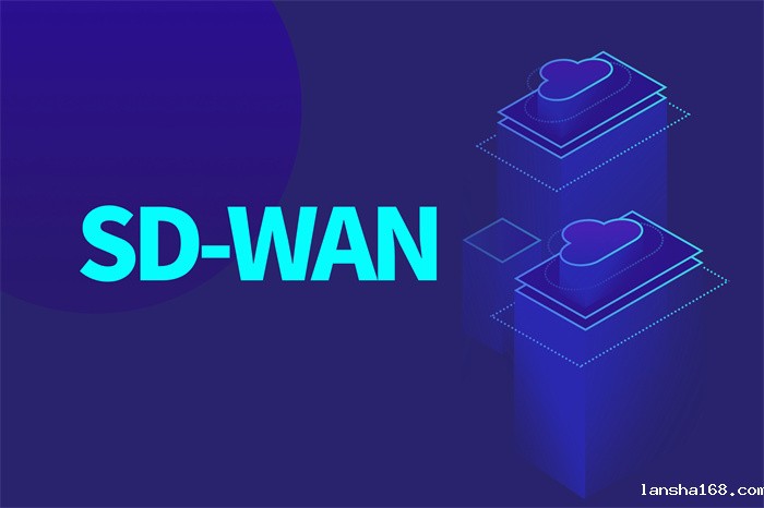 sd-wan路由器有哪些作用