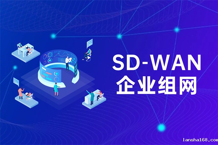 企业内部怎么组网