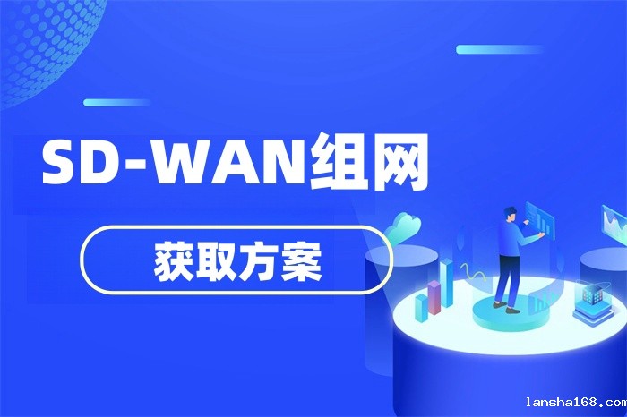 SD-WAN有几种组网方案
