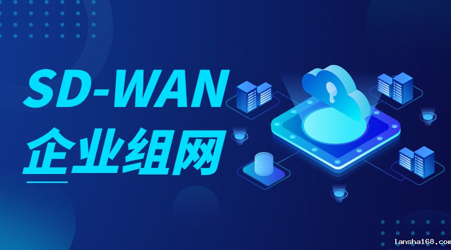 sdwan供应商怎么选