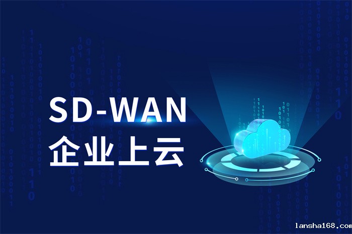 sdwan和ipsec有哪些区别