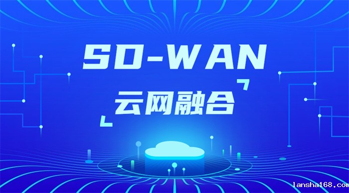 sdwan怎么搭建