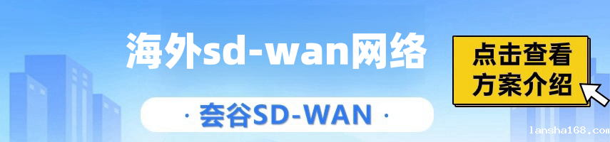 sd-wan跨境专线如何接入