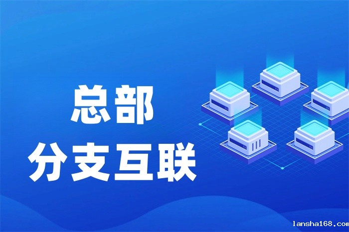 国外子公司如何访问国内总部ERP