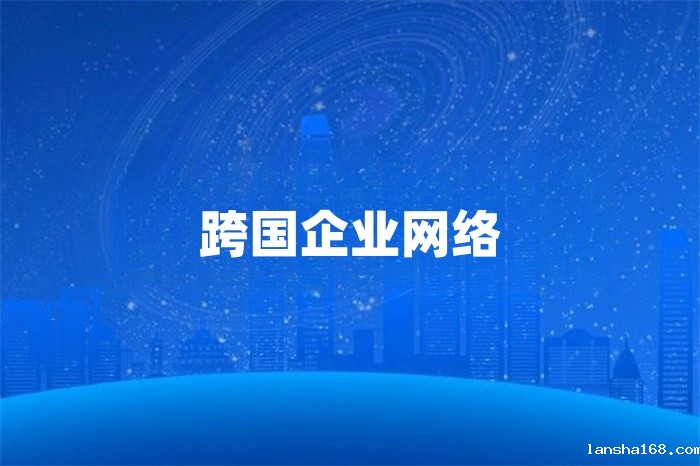 跨国企业网络怎么解决? 跨国企业网络怎么解决?