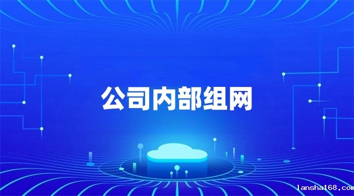 公司内部组网解决方案 公司内部组网解决方案