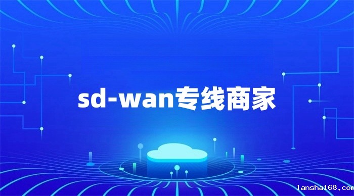 sdwan专线 sdwan专线