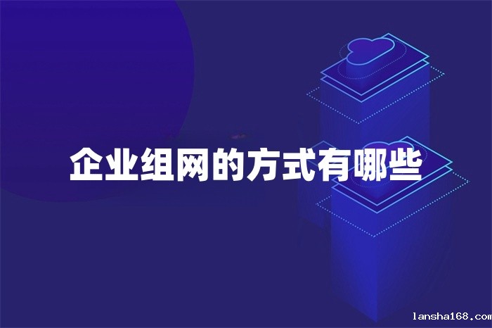企业组网的方式