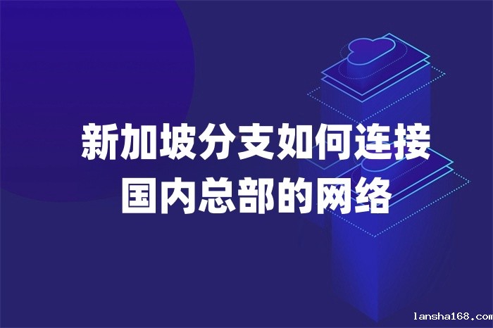 新加坡分支如何连接国内总部的网络