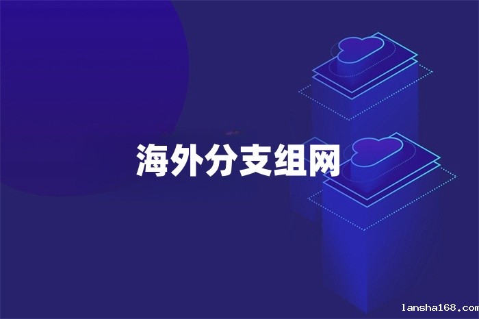海外分支组网