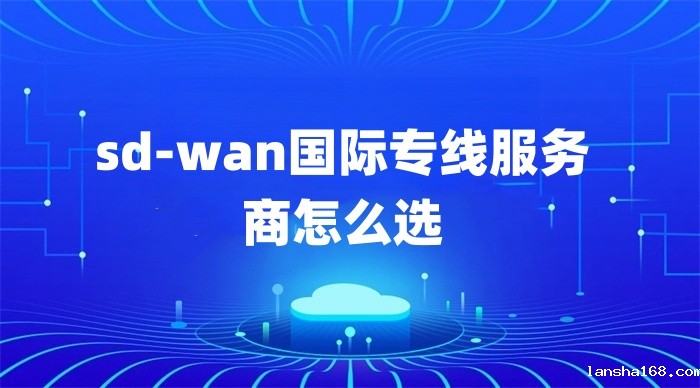sd-wan国际专线服务商怎么选