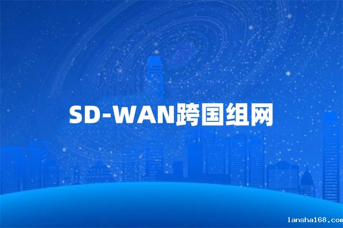 SD-WAN跨国组网 SD-WAN跨国组网