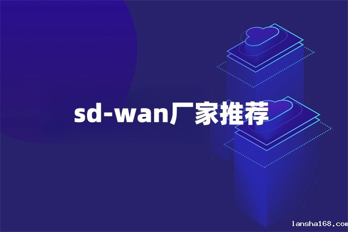 sd-wan厂家推荐 sd-wan厂家推荐