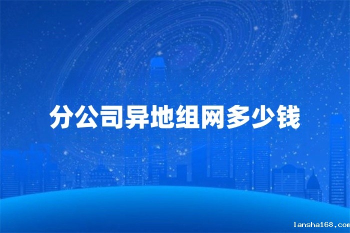 分公司异地组网多少钱