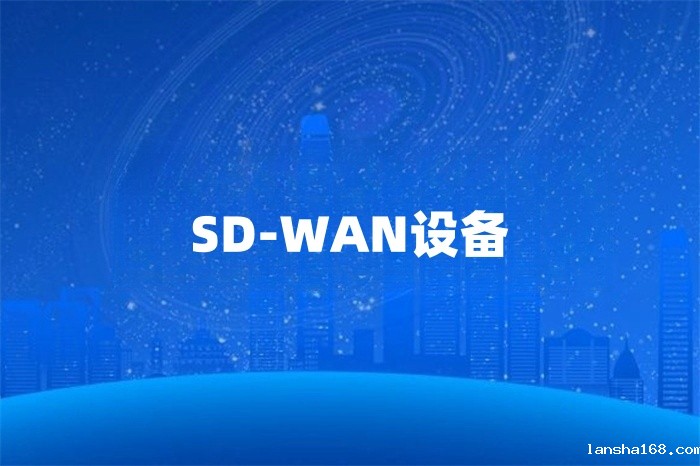 SD-WAN设备