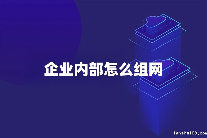 企业内部怎么组网