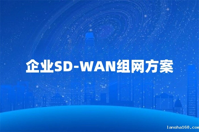 企业SD-WAN组网方案