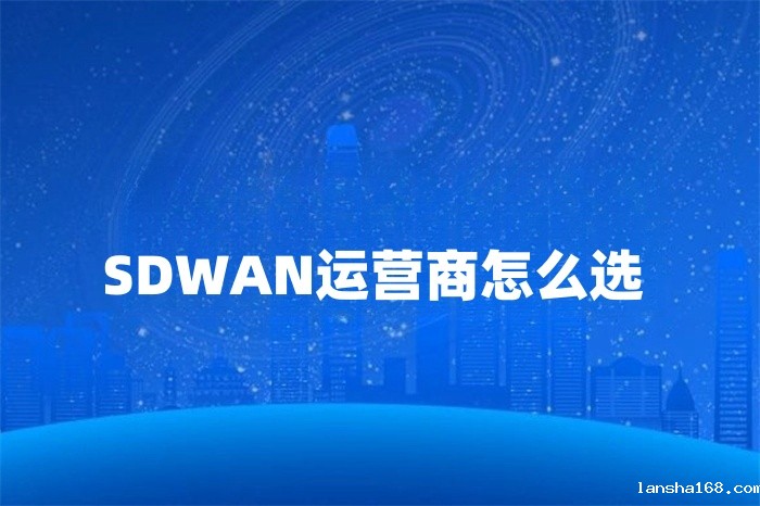 SDWAN运营商