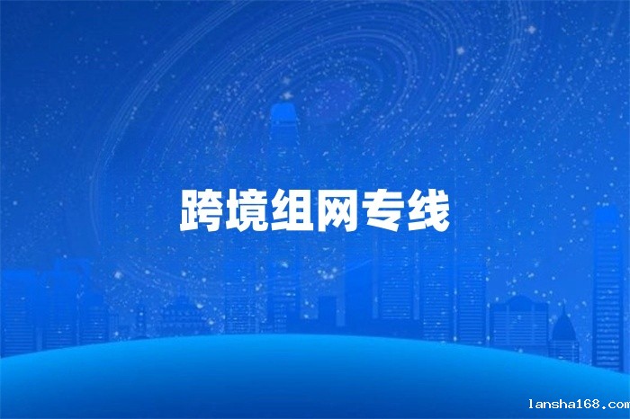 跨境组网专线 跨境组网专线