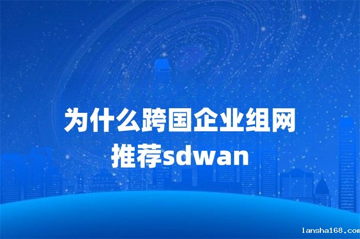 为什么跨国企业组网推荐sdwan