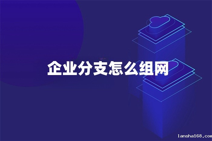企业分支怎么组网