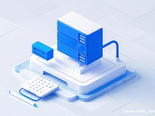 跨境电商接入什么网络 跨境电商接入什么网络