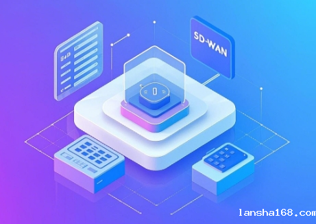 SD-WAN的连接方式有哪些 SD-WAN的连接方式有哪些