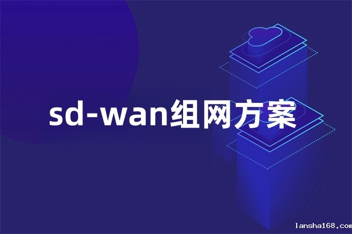 sd-wan组网方案
