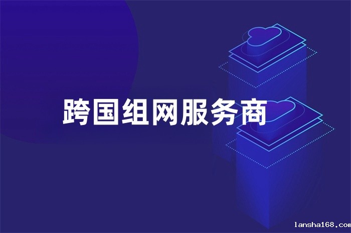 跨国组网服务商 跨国组网服务商
