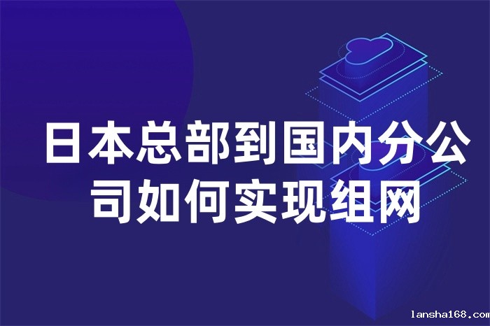 日本总部到国内分公司如何实现组网