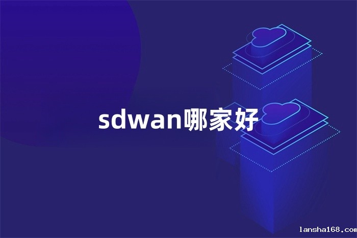 sdwan哪家好