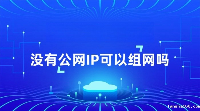 没有公网IP可以组网吗