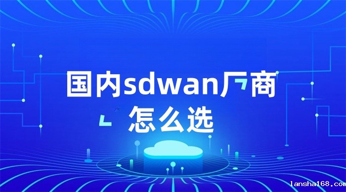 国内sdwan厂商怎么选