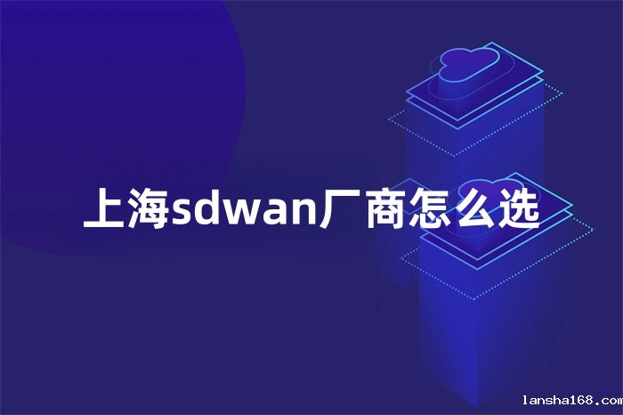 上海sdwan厂商怎么选