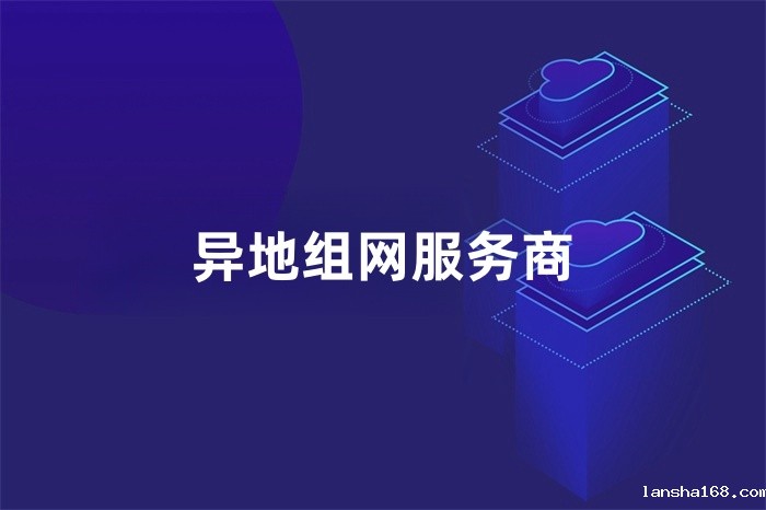 异地组网服务商
