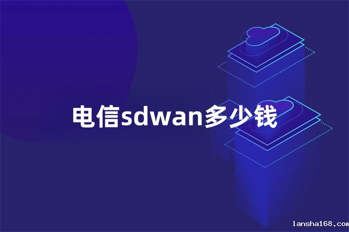 电信sdwan多少钱