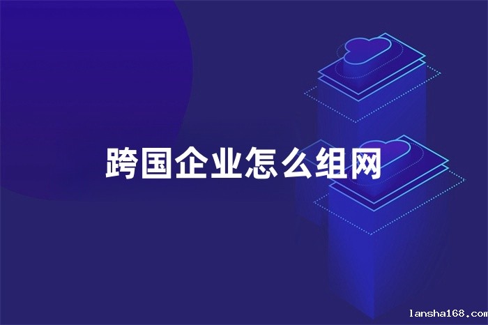 跨国企业怎么组网 跨国企业怎么组网