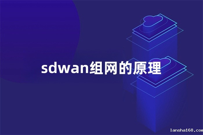 sdwan组网的原理