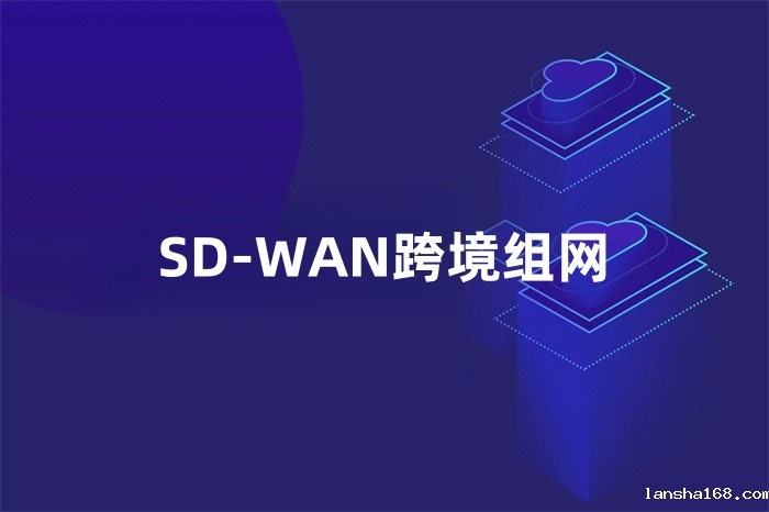 SD-WAN跨境组网 SD-WAN跨境组网